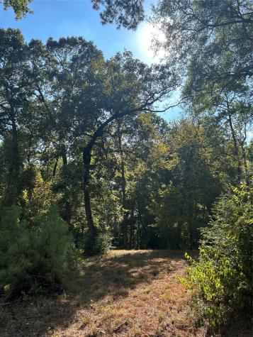 Tbd Tiki Trail Livingston TX 77351