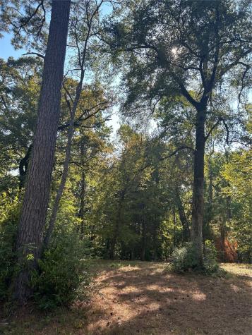 Tbd Tiki Trail Livingston TX 77351