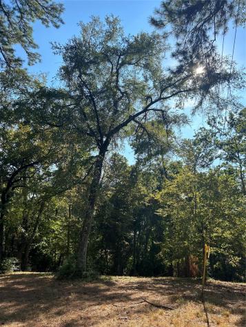 Tbd Tiki Trail Livingston TX 77351