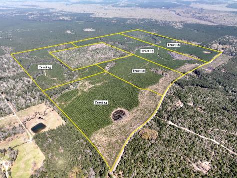 00000 County Road 4415 Spurger TX 77660