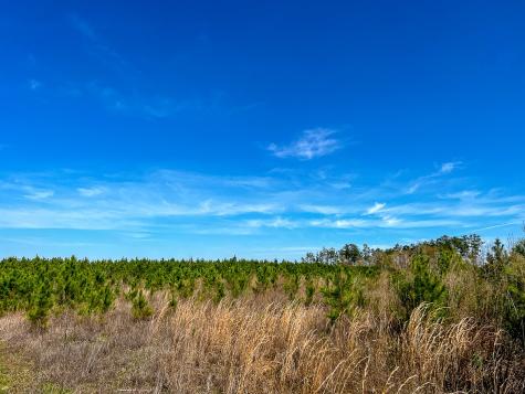 00000 County Road 4415 Spurger TX 77660