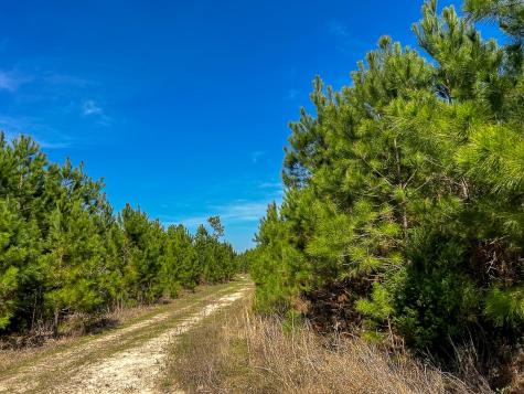 00000 County Road 4415 Spurger TX 77660