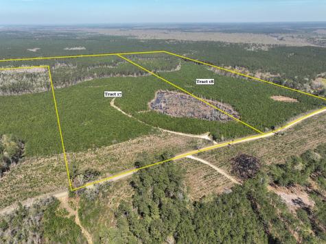 00000 County Road 4415 Spurger TX 77660