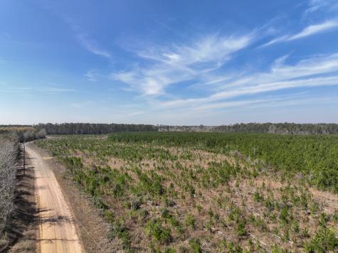 00000 County Road 4415 Spurger TX 77660