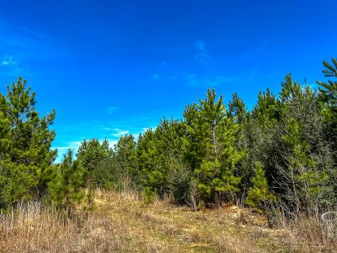 00000 County Road 4415 Spurger TX 77660