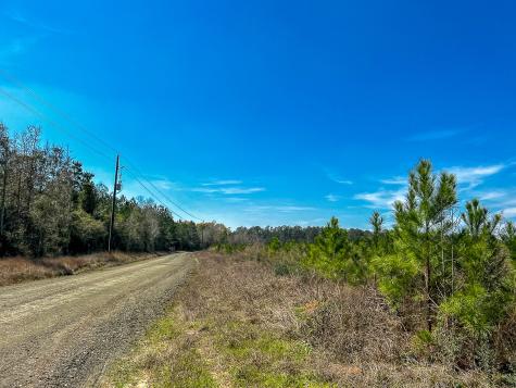 00000 County Road 4415 Spurger TX 77660