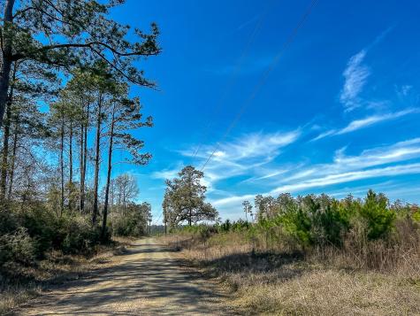 00000 County Road 4415 Spurger TX 77660
