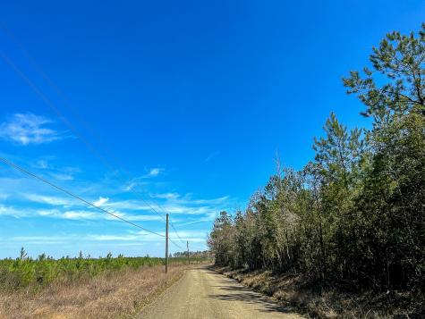 00000 County Road 4415 Spurger TX 77660
