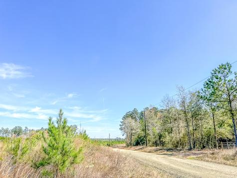 00000 County Road 4415 Spurger TX 77660