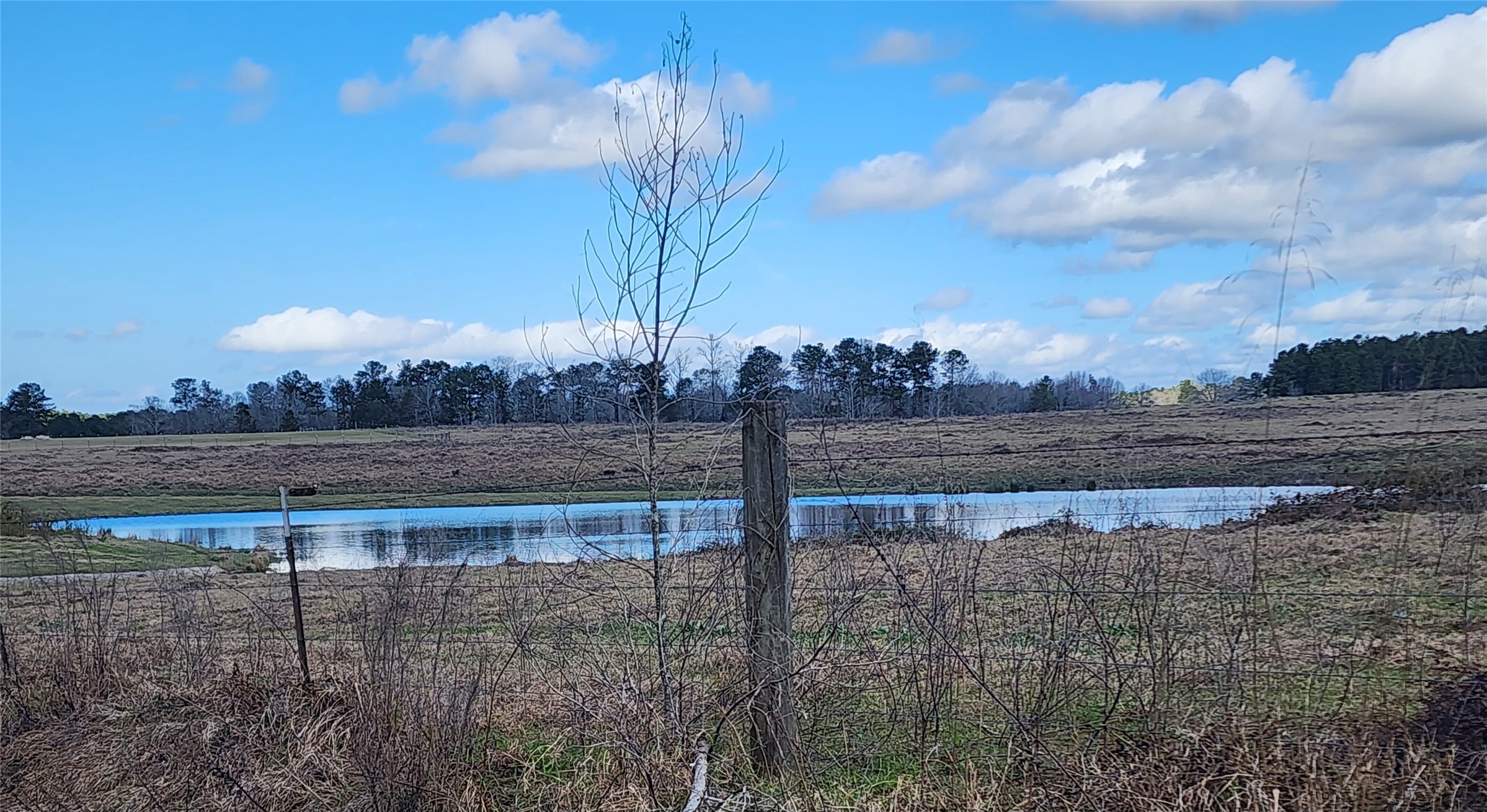 Tbd Nelson Road Livingston TX 77351