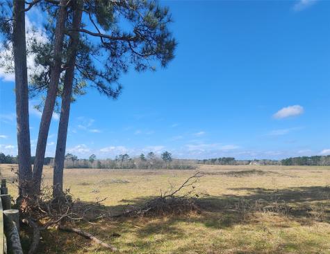 Tbd Nelson Road Livingston TX 77351