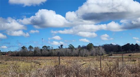 Tbd Nelson Road Livingston TX 77351