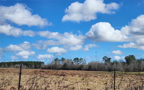 Tbd Nelson Road Livingston TX 77351