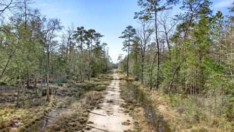 12310 Picos Road Saratoga TX 77585