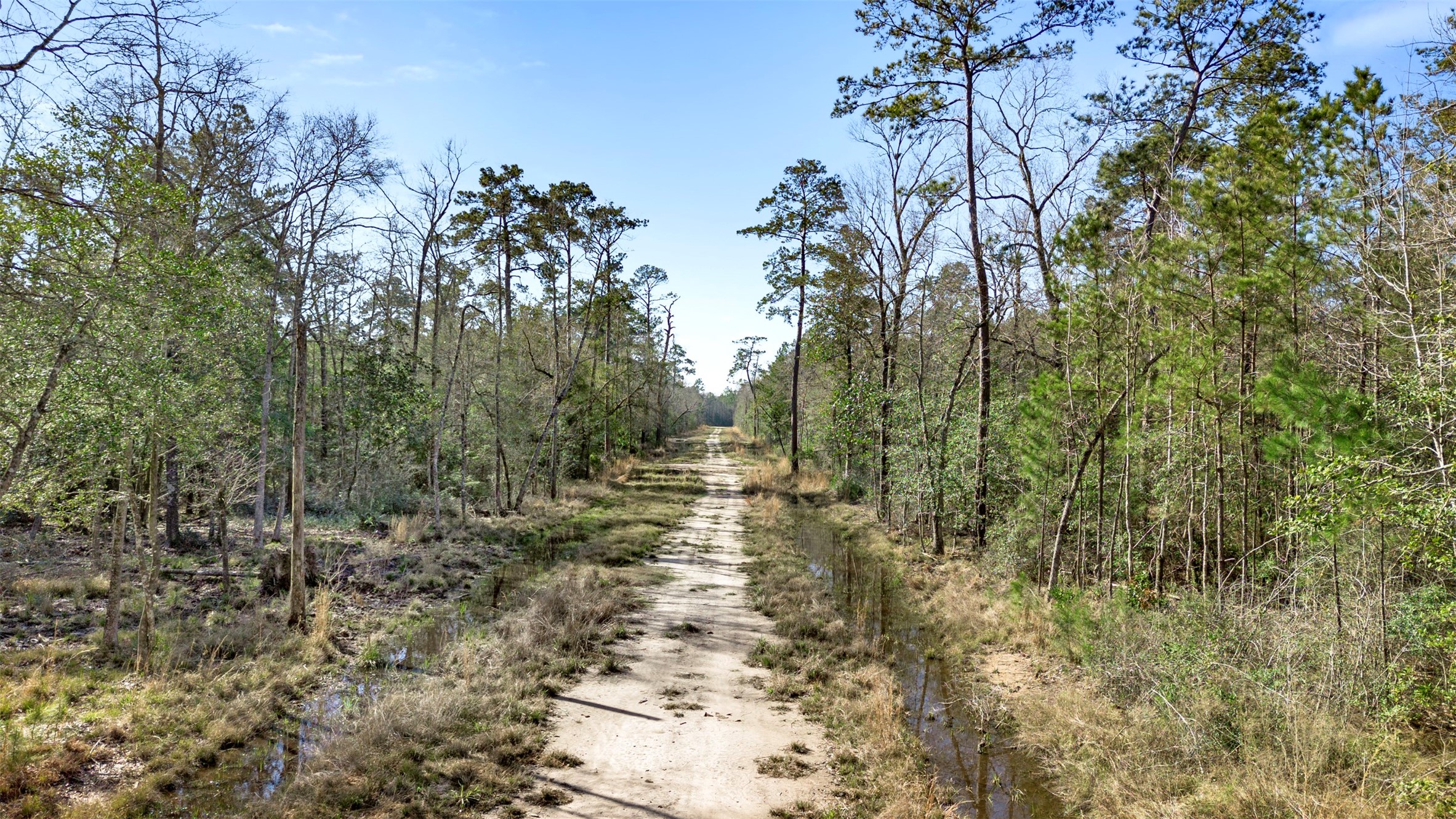 12310 Picos Road Saratoga TX 77585