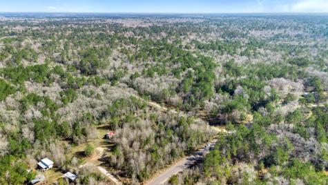 12310 Picos Road Saratoga TX 77585