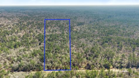 12310 Picos Road Saratoga TX 77585