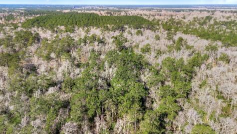 12310 Picos Road Saratoga TX 77585