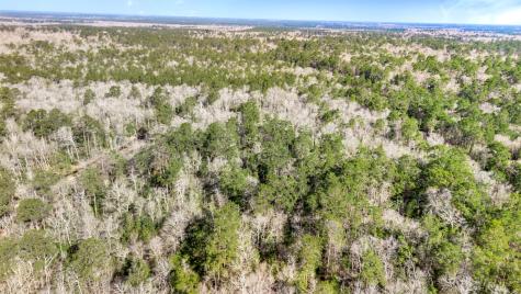 12310 Picos Road Saratoga TX 77585