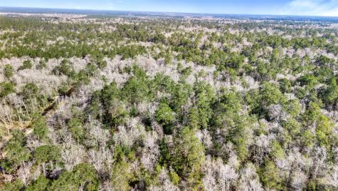 12310 Picos Road Saratoga TX 77585