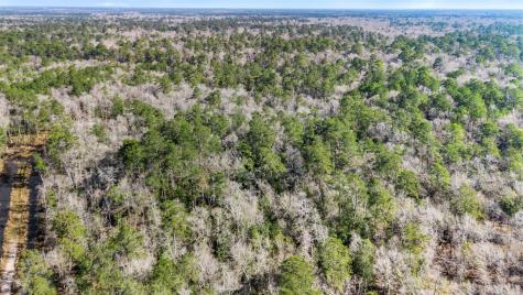 12310 Picos Road Saratoga TX 77585