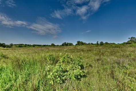 7237 County Road 170, Track B Caldwell TX 77836