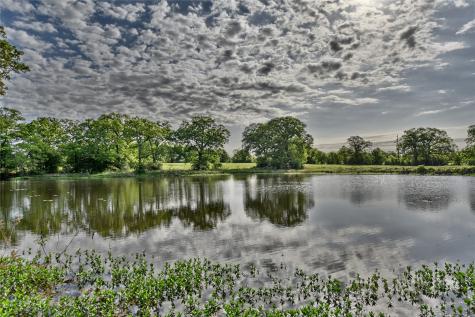 7237 County Road 170, Track B Caldwell TX 77836