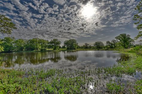 7237 County Road 170, Track B Caldwell TX 77836