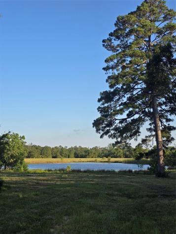 Tbd Highway 150 W Coldspring TX 77331