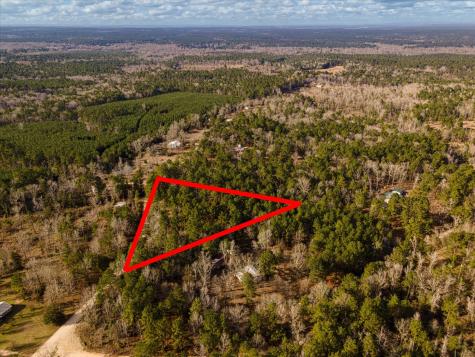 Tbd County Road 1172 Kennard TX 75858