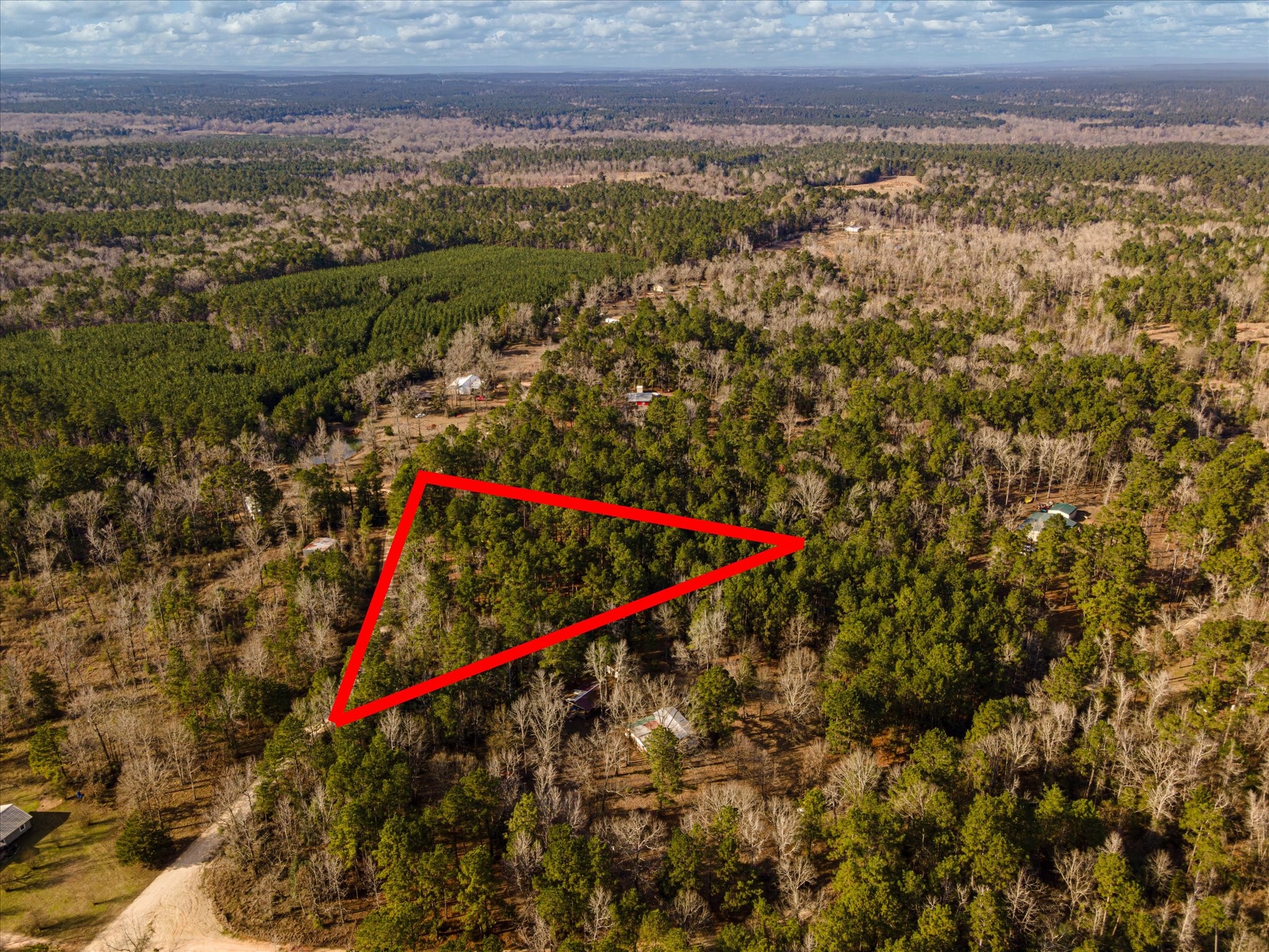 Tbd County Road 1172 Kennard TX 75858