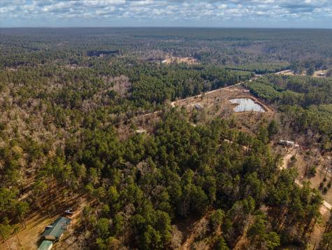 Tbd County Road 1172 Kennard TX 75858