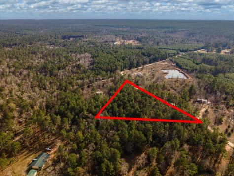Tbd County Road 1172 Kennard TX 75858