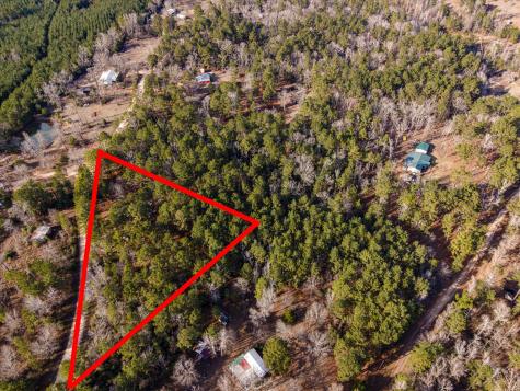 Tbd County Road 1172 Kennard TX 75858