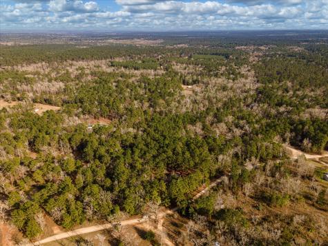 Tbd County Road 1172 Kennard TX 75858