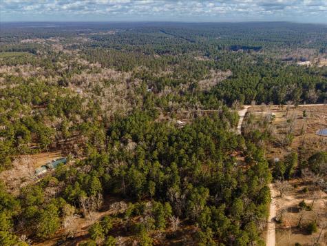Tbd County Road 1172 Kennard TX 75858