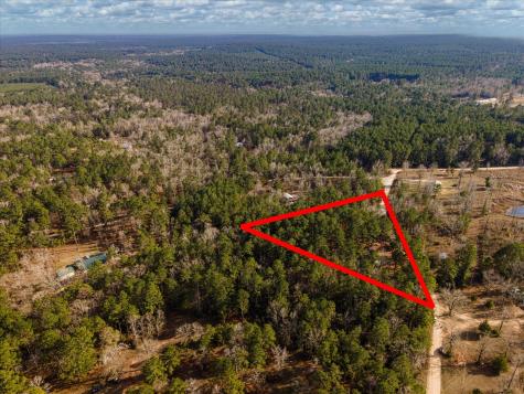 Tbd County Road 1172 Kennard TX 75858
