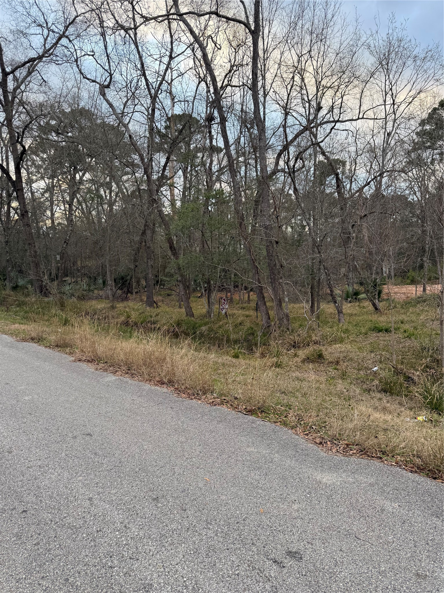 0 Pin Oak Drive Lane Houston TX 77336