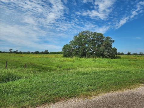 16410 Majestic Oaks Drive Rosharon TX 77583