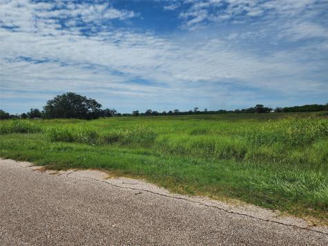 16410 Majestic Oaks Drive Rosharon TX 77583