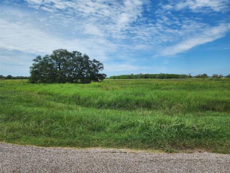 16410 Majestic Oaks Drive Rosharon TX 77583