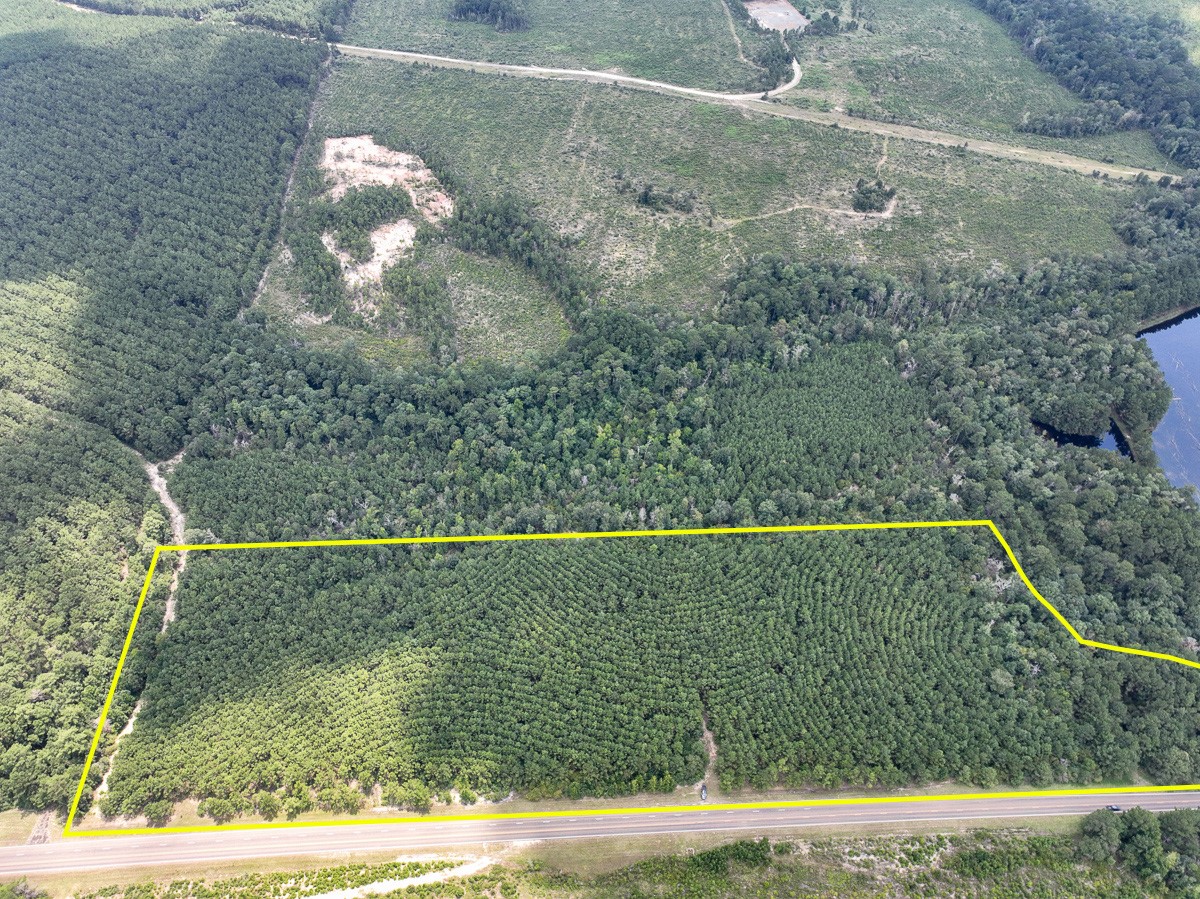 06 Rec Road 255 Browndell TX 75931