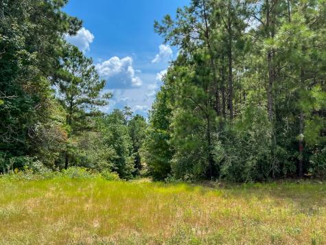 06 Rec Road 255 Browndell TX 75931