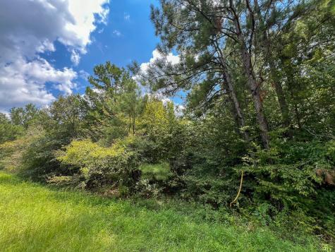 06 Rec Road 255 Browndell TX 75931