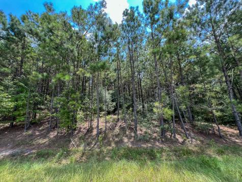 06 Rec Road 255 Browndell TX 75931