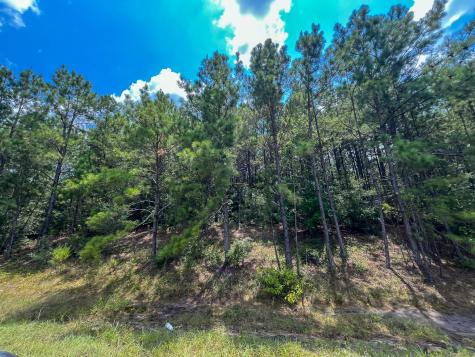 06 Rec Road 255 Browndell TX 75931