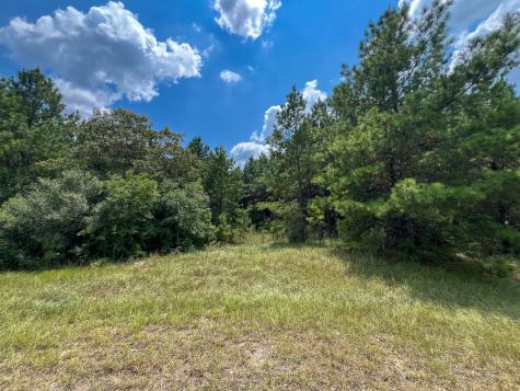 06 Rec Road 255 Browndell TX 75931