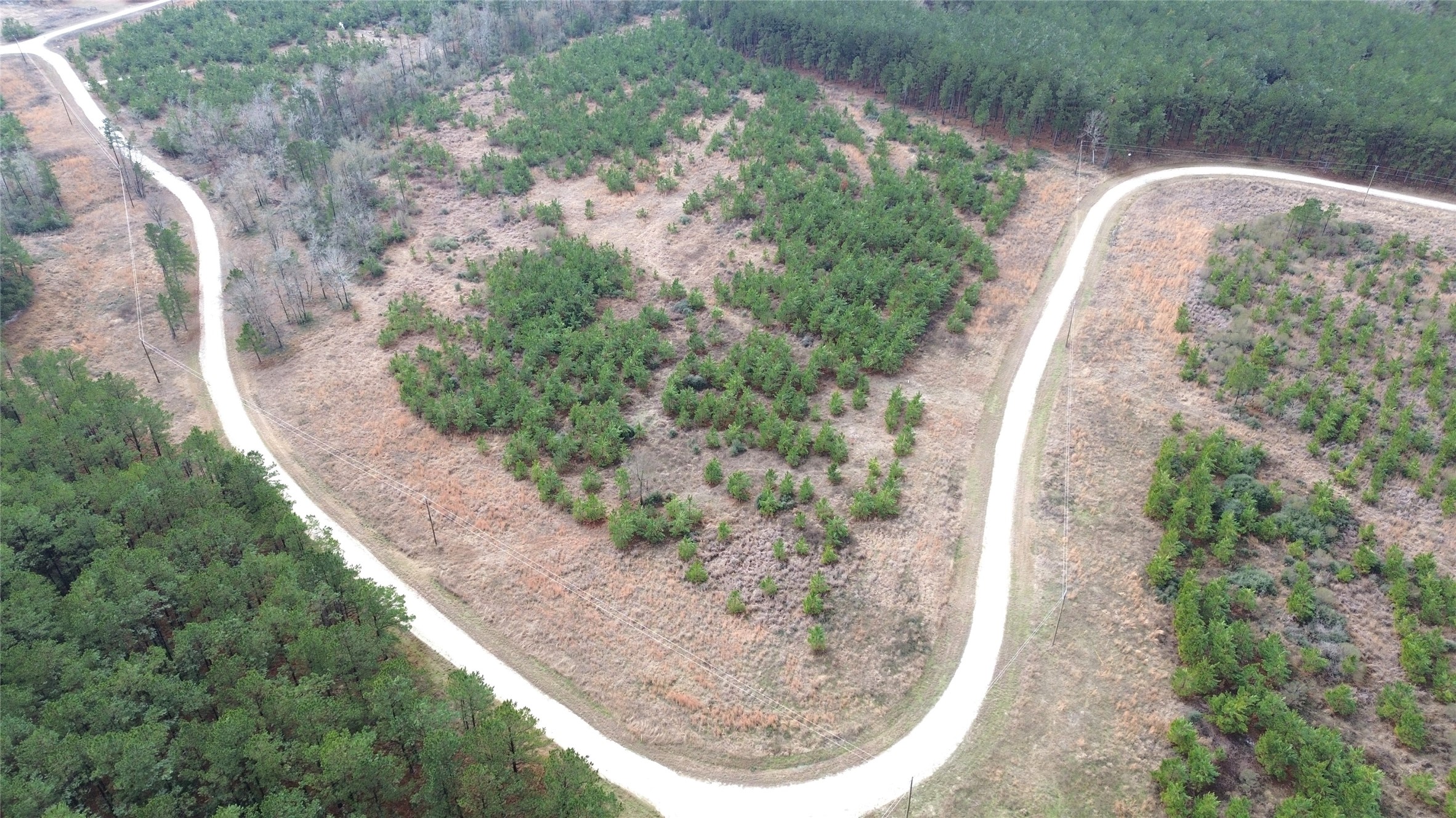 Tbd Taylor Trail Lovelady TX 75851