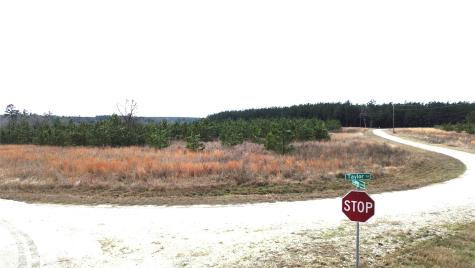 Tbd Taylor Trail Lovelady TX 75851