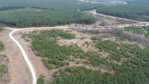 Tbd Taylor Trail Lovelady TX 75851